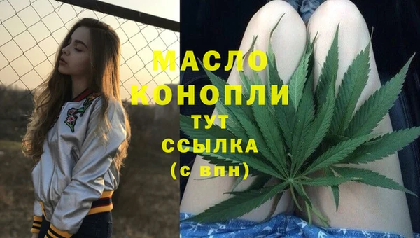 дмт Арсеньев