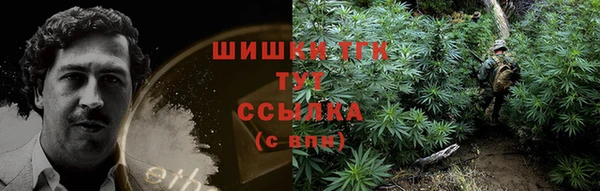 дмт Арсеньев