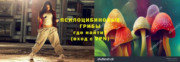 дмт Арсеньев