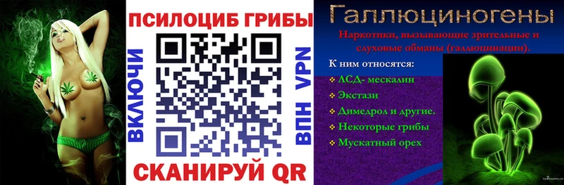 Галлюциногенные грибы мицелий  Порхов 